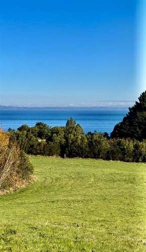 PARCELAS EN PUERTO VARAS ACCESO DIRECTO A LAGO LLANQUIHUE - Imagen 3