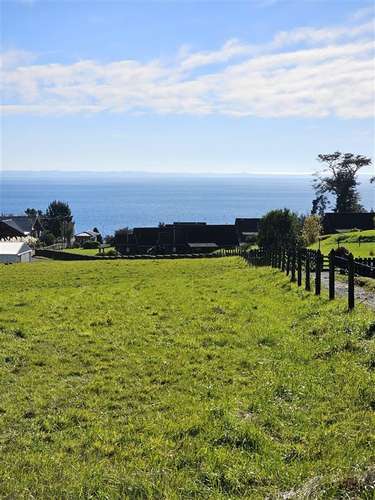 PARCELAS EN PUERTO VARAS ACCESO DIRECTO A LAGO LLANQUIHUE - Imagen 15