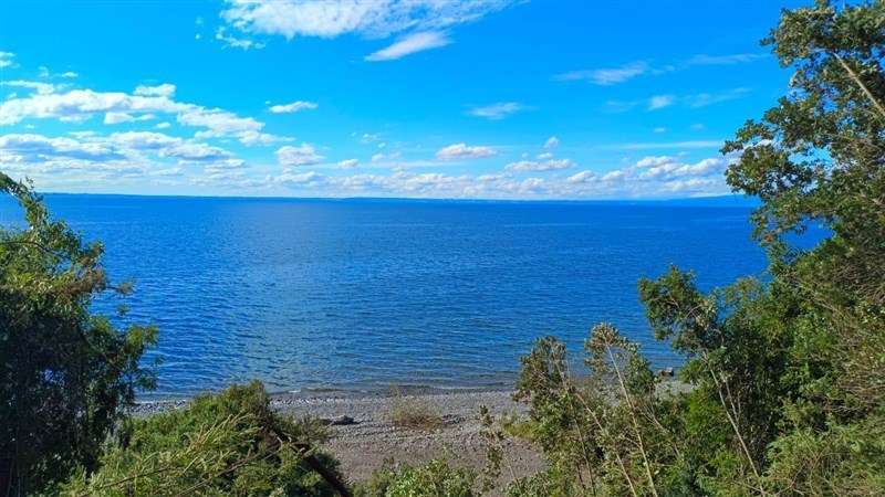 PARCELAS EN PUERTO VARAS ACCESO DIRECTO A LAGO LLANQUIHUE - Imagen 2