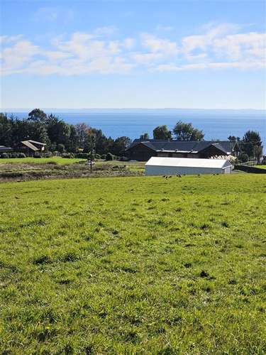 PARCELAS EN PUERTO VARAS ACCESO DIRECTO A LAGO LLANQUIHUE - Imagen 9