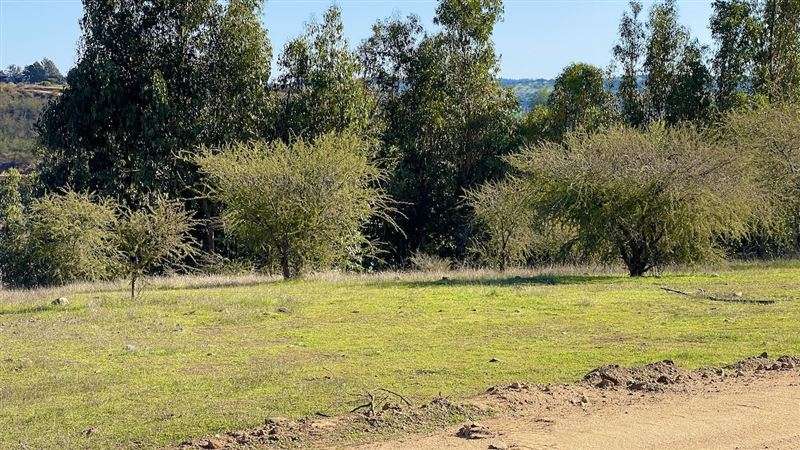 Parcelas A 2 Minutos del centro de Litueche crédito pie 0