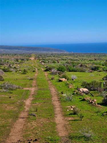 Parcelas en Ovalle remate venta final crédito 5.000m2