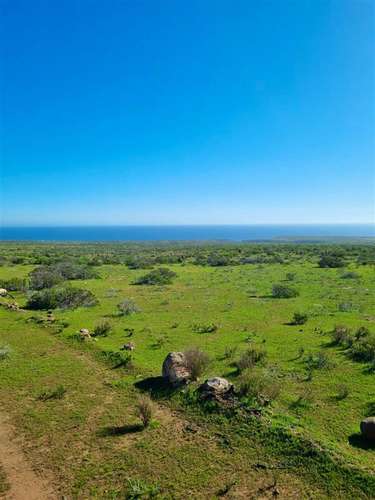 Parcelas en Ovalle remate venta final crédito 5.000m2