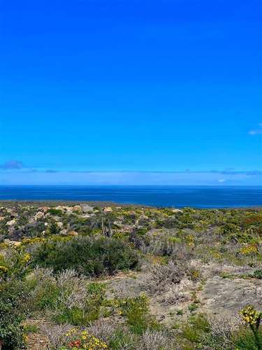 Parcelas en Ovalle remate venta final crédito 5.000m2
