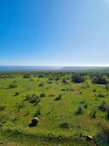 Parcelas en Ovalle remate venta final crédito 5.000m2