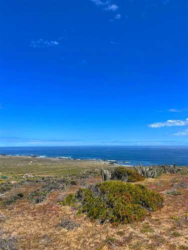 Parcelas en Ovalle remate venta final crédito 5.000m2
