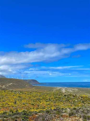 Parcelas en Ovalle remate venta final crédito 5.000m2