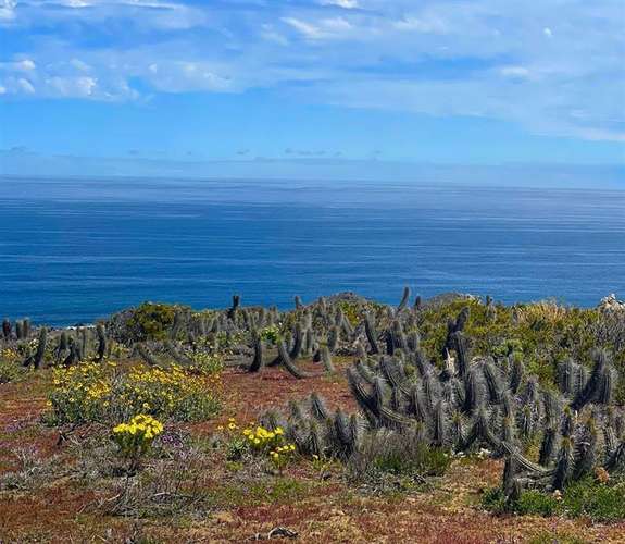 Parcelas en Ovalle remate venta final crédito 5.000m2
