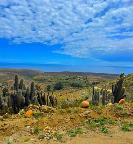 Parcelas en Ovalle remate venta final crédito 5.000m2