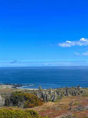 Parcelas en Ovalle remate venta final crédito 5.000m2