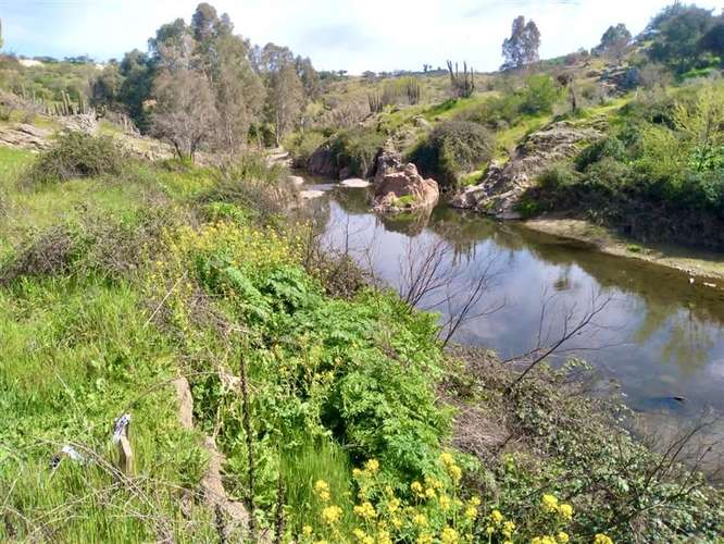 PARCELAS A 2 HORAS DE SANTIAGO A MINUTOS DE PLAYA