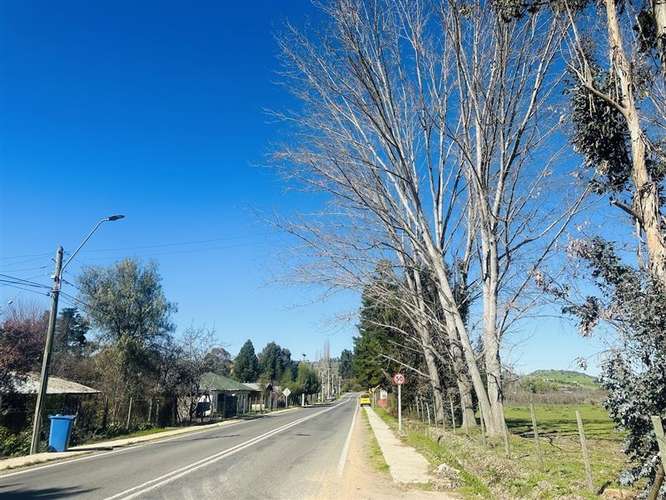 PARCELAS A 2 HORAS DE SANTIAGO A MINUTOS DE PLAYA