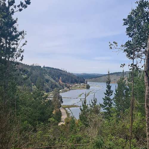 RESERVA LAS SALINAS DE CAHUIL, PICHILEMU - Imagen 15