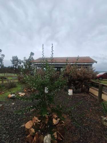 Parcela con casa cercana a embalse Mallermo, Marchigue