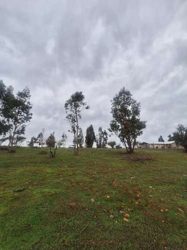 Se vende parcela cercana a embalse Mallermo, Marchigue