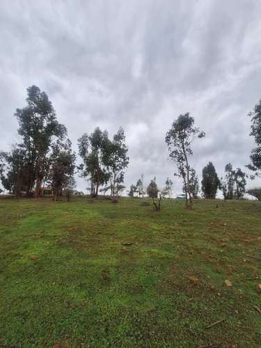 Se vende parcela cercana a embalse Mallermo, Marchigue