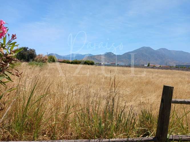 Parcela en Olivar 5000m2 en Condominio - Imagen 5