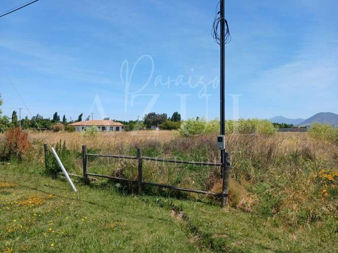 Parcela en Olivar 5000m2 en Condominio - Imagen 4