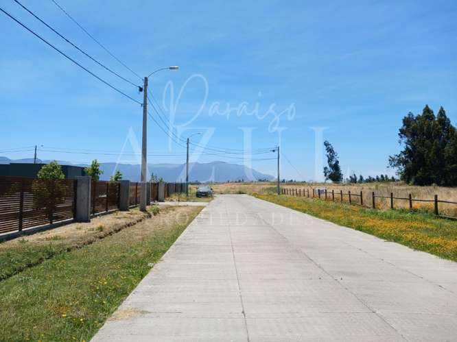 Parcela en Olivar 5000m2 en Condominio - Imagen 8