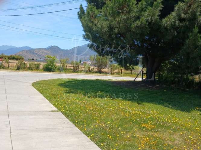 Parcela en Olivar 5000m2 en Condominio - Imagen 3