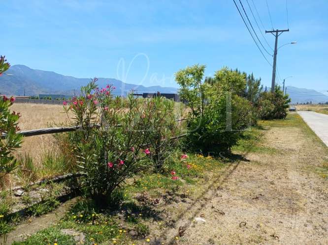 Parcela en Olivar 5000m2 en Condominio - Imagen 12