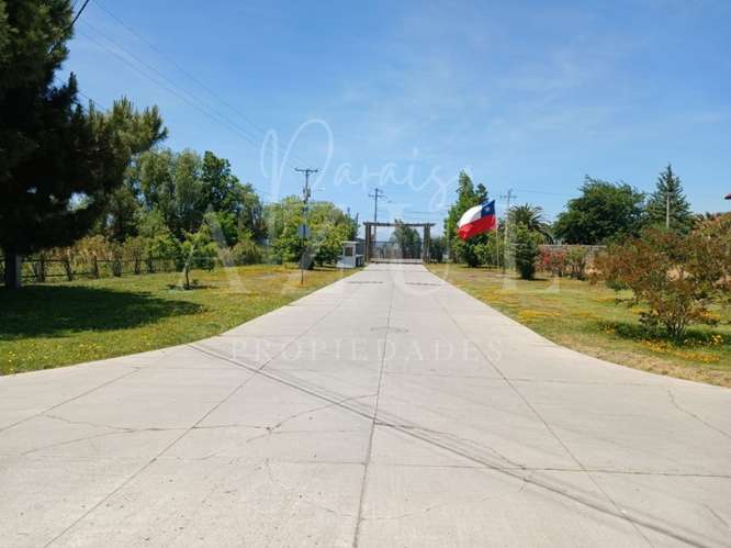 Parcela en Olivar 5000m2 en Condominio - Imagen 10