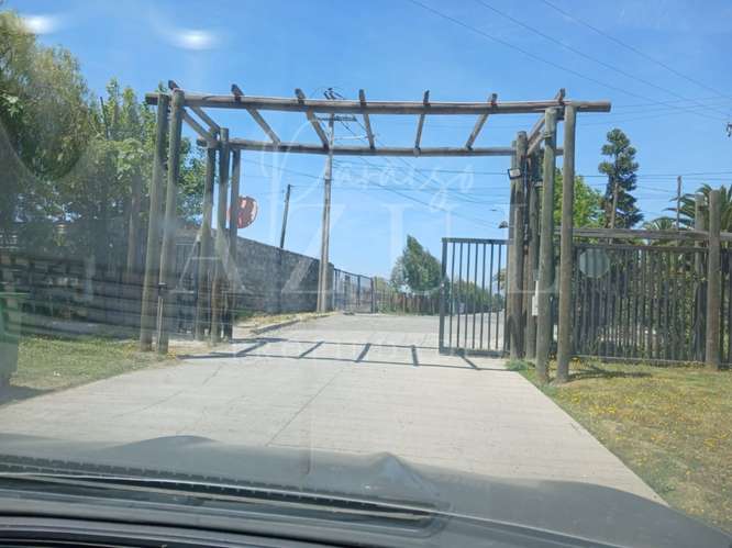 Parcela en Olivar 5000m2 en Condominio - Imagen 2