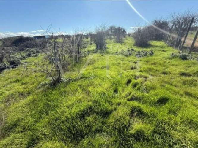 PARCELA CON CASA MALLERMO, MARCHIGUE