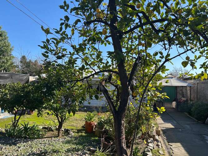 Venta Casa en La Reina- Gran Terreno - Imagen 5