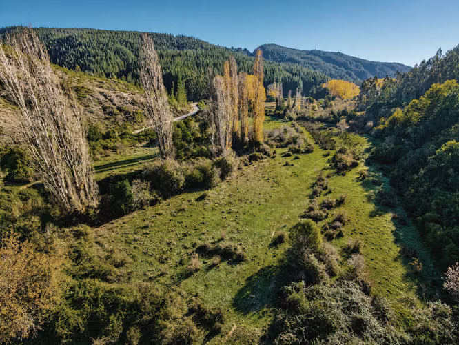 Hermoso Campo Con Bosque Nativo Y Vertientes - 12 Hectáreas