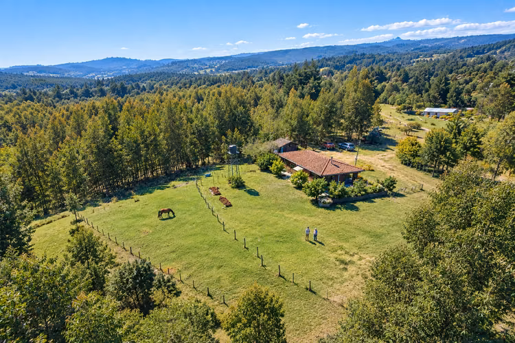 Campo 10,36 Ha _ Preciosa Casa + Bosque Eucalipto _ Yumbel