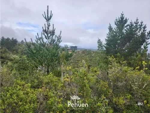 Parcela a 6 km de Niebla, sector Cutipay (186929) - Imagen 11