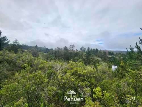 Parcela a 6 km de Niebla, sector Cutipay (186929) - Imagen 4