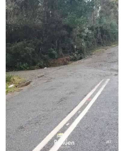 Parcela a 6 km de Niebla, sector Cutipay (186929) - Imagen 18