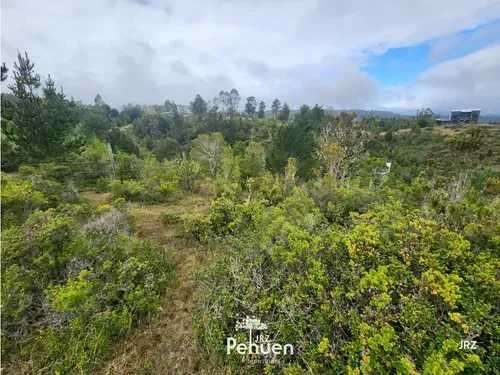 Parcela a 6 km de Niebla, sector Cutipay (186929) - Imagen 14