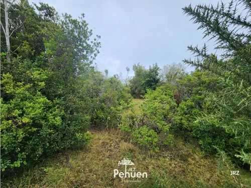 Parcela a 6 km de Niebla, sector Cutipay (186929) - Imagen 7