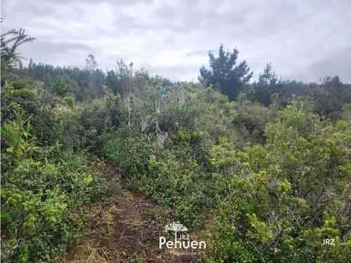 Parcela a 6 km de Niebla, sector Cutipay (186929) - Imagen 12