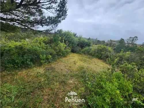 Parcela a 6 km de Niebla, sector Cutipay (186929) - Imagen 5
