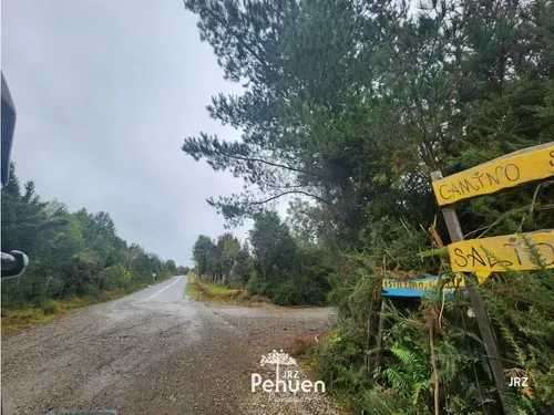 Parcela a 6 km de Niebla, sector Cutipay (186929) - Imagen 17