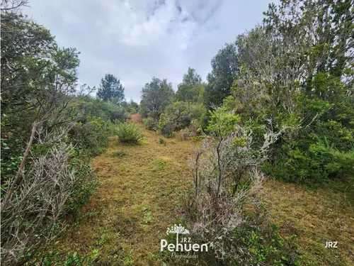 Parcela a 6 km de Niebla, sector Cutipay (186929) - Imagen 9