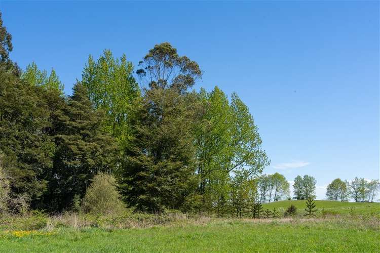 Sitio en venta en Puerto Varas - Imagen 5