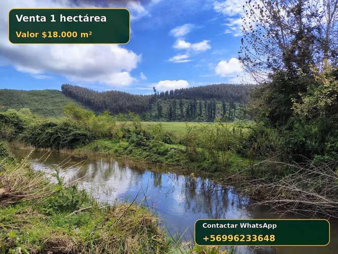 venta 1 hectárea en Escuadron Coronel.