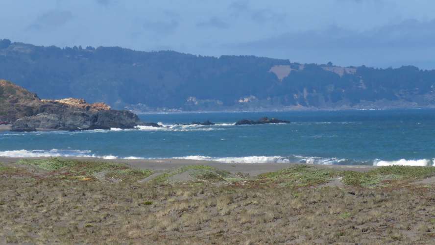 Tregualemu, Pelluhue (186984)