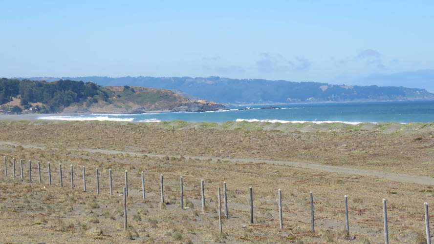 Tregualemu, Pelluhue (186984)