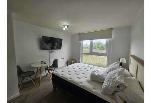 Studio con vista al humedal, Isla Teja (187003) - Imagen 8