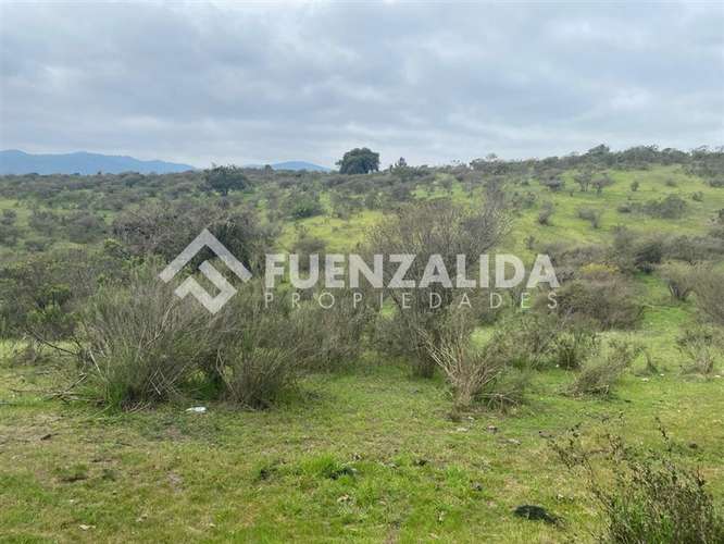 Terreno agrícola de 94.9 hectareas en venta cerca Cartagena