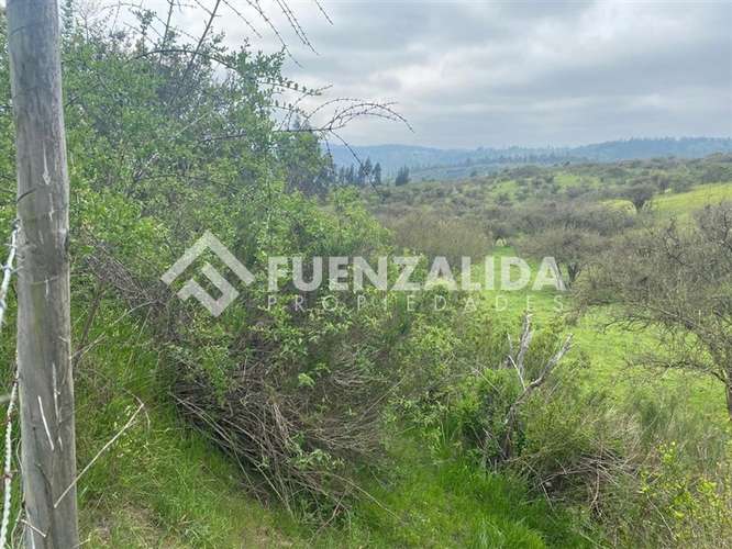 Terreno agrícola de 94.9 hectareas en venta cerca Cartagena