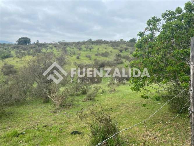 Terreno agrícola de 94.9 hectareas en venta cerca Cartagena