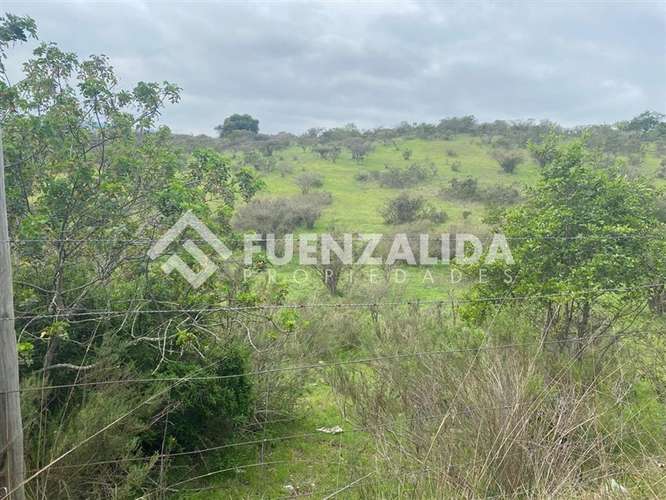 Terreno agrícola de 94.9 hectareas en venta cerca Cartagena
