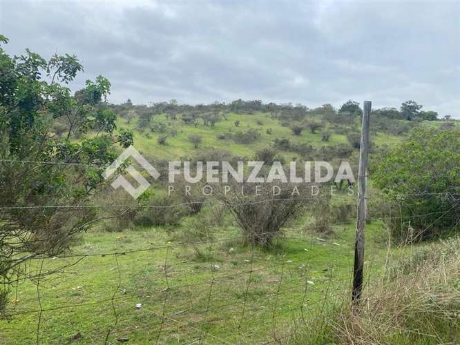 Terreno agrícola de 94.9 hectareas en venta cerca Cartagena